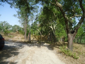Fotografia de imóvel: Proporção de 1/4 indiviso do Terreno rústico de cultura arvense, árvores, hortejo, sobreiros e vinha c/ 19.550 m2